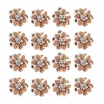 Rožica rjava iz shole - 16 kom